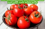 Cara Jitu Menyimpan Tomat Agar Awet Tahan Berbulan-Bulan