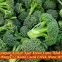Cara Menyimpan Brokoli Tetap Segar Tidak Kuning- Berikut ini, cara yang sudah terbukti agar brokoli tetap segar : dibekukan, buket brokoli...